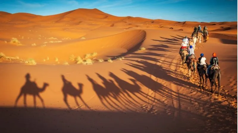 Luxury Tours & Desert Adventures