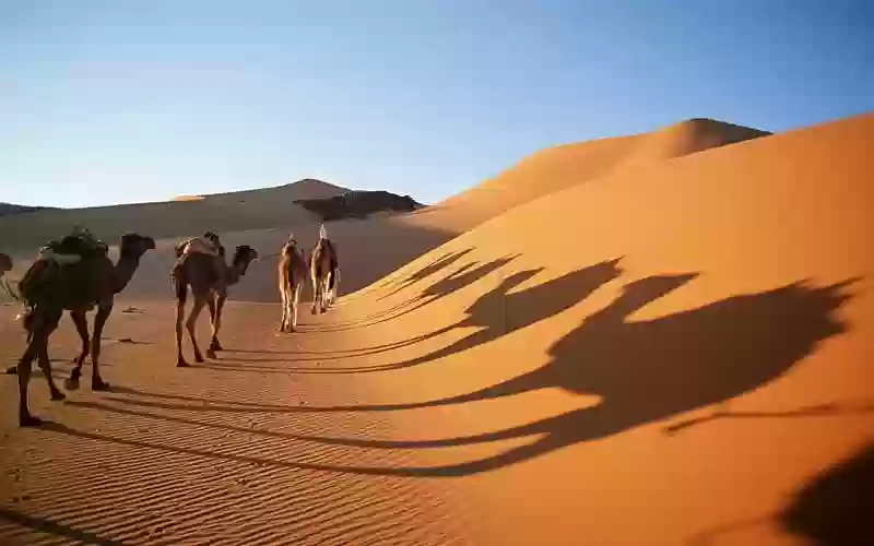 Luxury Tours & Desert Adventures