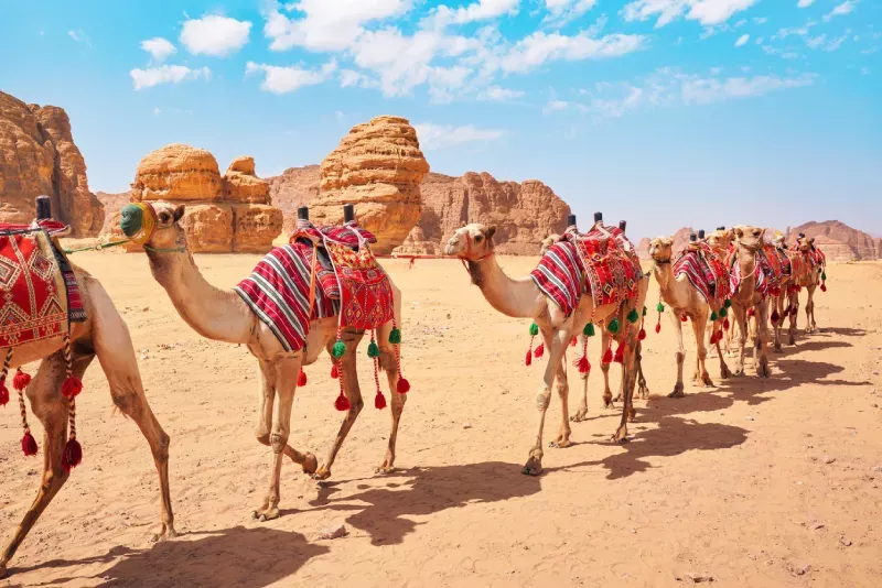 How Vision 2030 is Transforming Tourism Saudi