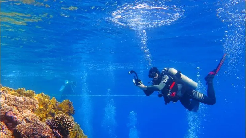 Adventure Tourism Saudi: Desert Safaris, Diving, and More